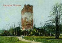 Zamek w Czarnym Borze - Wiea zamku w Czarnym Borze na zdjciu z lat 1905-10