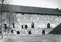 Zamek w Dziadowie - Zamek w Dziadowie na zdjciu z 1940 roku