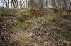Zamek w Garbnie - Resztki nowoytnych umocnie skarpy cmentarza, fot. ZeroJeden, IV 2007