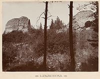 Zamek w Lanckoronie - Ruiny zamku w Lanckoronie na zdjciu Jzefa Zajczkowskiego z 1905 roku