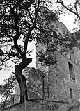 Zamek w Melsztynie - Ruiny zamku w Melsztynie na zdjciu Kintschera z 1941 roku