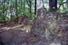 Zamek w Ostrniku - fot. ZeroJeden, VI 2000