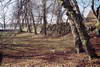 Zamek w Sobowidzu - Fosa i mur umocnie zamku, fot. JAPCOK, IV 2004