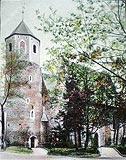Zamek w Strzelinie - Zamek w Strzelinie na zdjciu z lat 1900-03