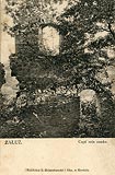 Zamek Sobie w Zauu - Ruiny zamku na pocztwce z okoo 1900 roku