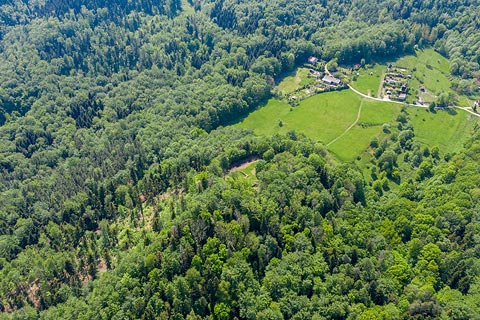 Zamek Woek w Kobiernicach