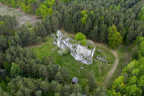 Stranica w Przewodziszowicach